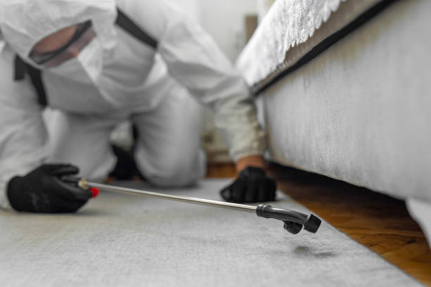 Professional Termite Control technician working in Spooner, WI