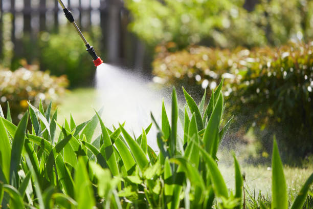 24/7 Emergency Termite Control experts in Spooner, WI